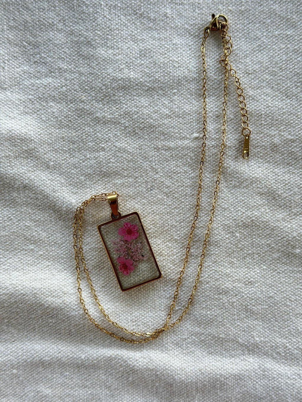 OXALIA ROSA