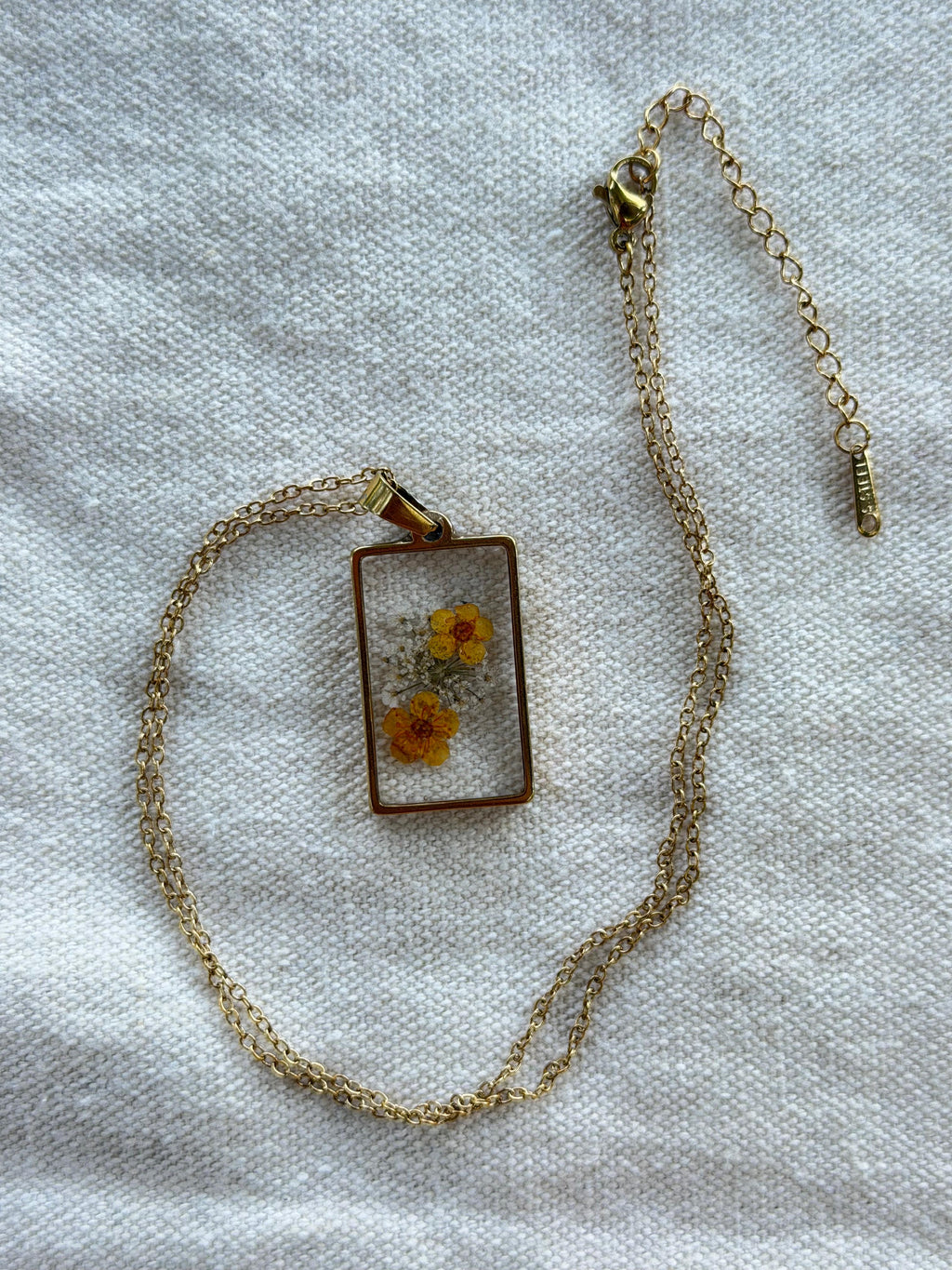 OXALIS GIALLA
