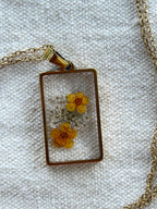 OXALIS GIALLA