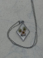 LIMONIUM