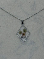 LIMONIUM