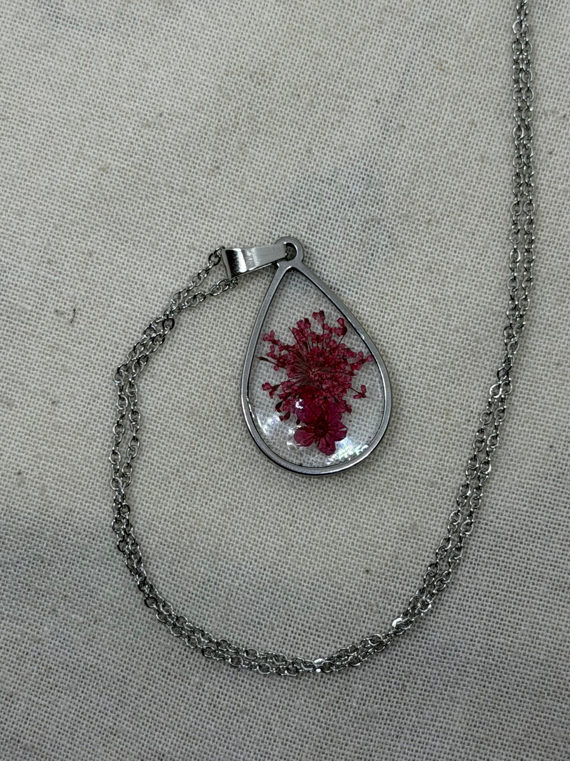LIMONIUM ROSSO
