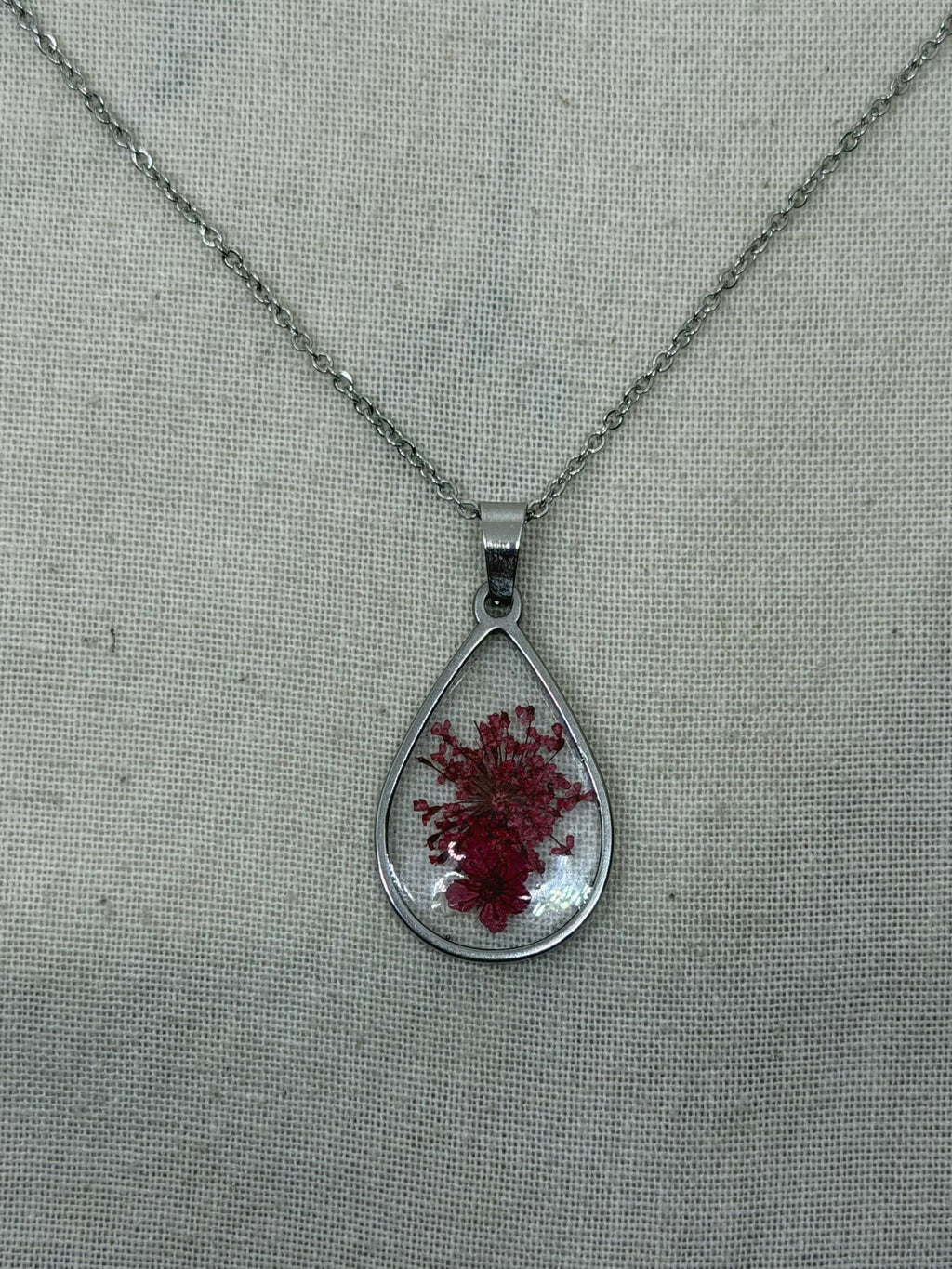 LIMONIUM ROSSO