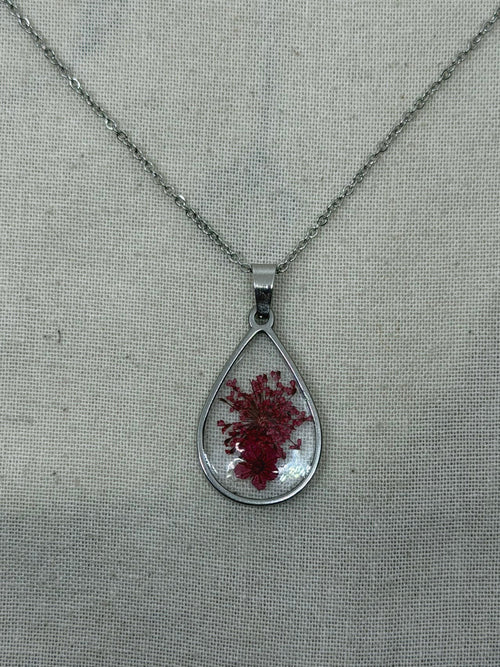 LIMONIUM ROSSO